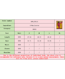 Elegant Lace-Up Pleated Flared Dress with Long Sleeves