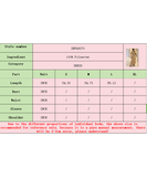 V-Neck Striped Knitted Skirt with Long Sleeves