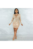 Vibrant Deep V Mesh Party Dress for Nightclub Elegance