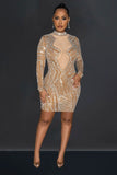 Elegant Long Sleeve Solid Color Mesh Skirt Dress