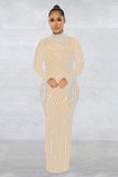 Elegant Mesh Long Sleeve Maxi Dress with Lined Two-Piece Ensemble