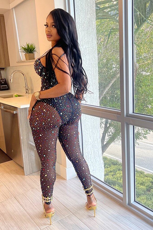 Chic Solid Color Mesh Jumpsuit with Sleeveless Design and Pants
