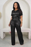 Dazzling Sequin Solid Color Short Sleeve and Pants Ensemble