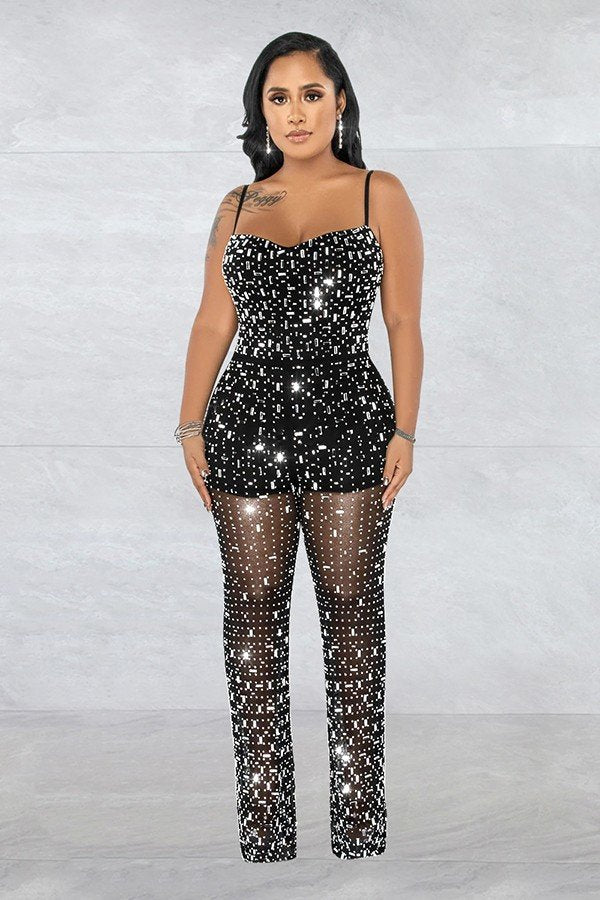 Chic Mesh Sleeveless Jumpsuit with Elegant Embroidery
