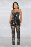 Chic Mesh Sleeveless Jumpsuit with Elegant Embroidery