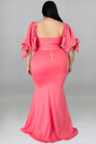 Willow Edge Elegant Slit Hem Dress with Puffy Sleeves