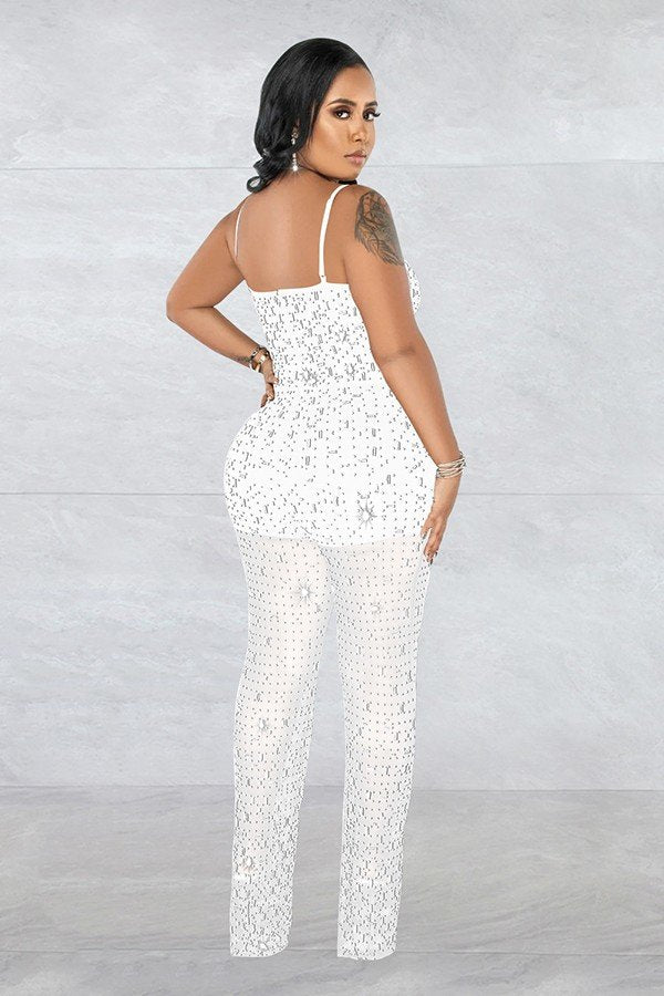 Chic Mesh Sleeveless Jumpsuit with Elegant Embroidery