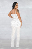 Chic Mesh Sleeveless Jumpsuit with Elegant Embroidery