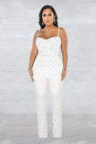 Chic Mesh Sleeveless Jumpsuit with Elegant Embroidery