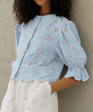 Chic Embroidered Short Fashion Trumpet Sleeve Crop Shirt