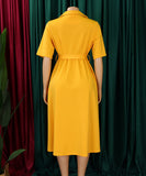Short Sleeved Suit Style Collar Tie Dress in Solid Color with Belt