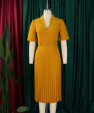 Short Sleeved V Neck Pleated High Waisted Dress in Vibrant Colors