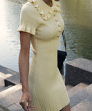 Ruffled Little Fragrance Dress in Sunny Yellow and White