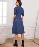 Curved Fitted Denim Dress with Short Sleeves and Waist Detail