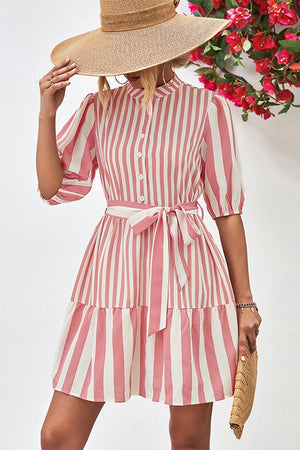 Chic Bubble Sleeve Dress with Stylish Stand-Up Collar