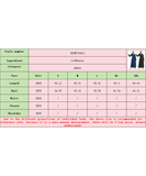 Women's Denim Long Sleeve Coat Style Dress with Button Closure