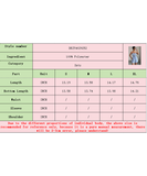 Light Blue Women Two Piece Set Top And Shorts With Belt
