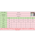 High Waisted Bandeau Sleeveless One Piece Pants for Women