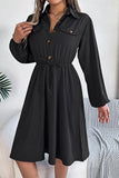 Chic Long Sleeve Button-Up Waist Shirt Dress