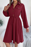 Chic Long Sleeve Button-Up Waist Shirt Dress