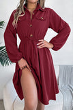 Chic Long Sleeve Button-Up Waist Shirt Dress