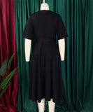 V Neck Short Sleeve Cinched Waist A Line Dress