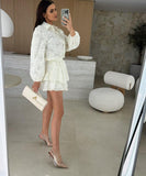 Lace Cutout Casual Long Sleeve Two Piece Polyester Set