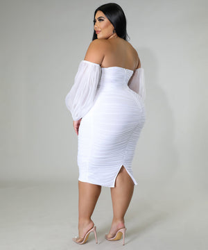 Chic TIGHT MESH PLEATED LONG-SLEEVED PLUS-SIZE WOMEN'S DRESS
