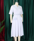 V Neck Short Sleeve Cinched Waist A Line Dress