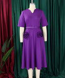 V Neck Short Sleeve Cinched Waist A Line Dress