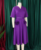 V Neck Short Sleeve Cinched Waist A Line Dress