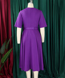 V Neck Short Sleeve Cinched Waist A Line Dress