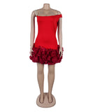 Chic Sleeveless Skew Shoulder Stretch Slim Mesh Dress with Wooden Ear Lace