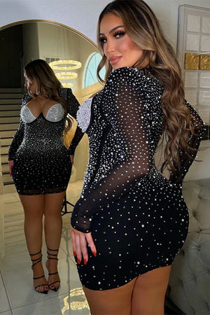 Elegant Solid Color Long Sleeve Mesh Dress with Flared Skirt