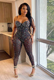 Chic Solid Color Mesh Jumpsuit with Sleeveless Design and Pants