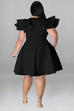Chic Colorful Swing Dress