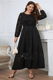 Chic Black Lace Plus-Size Dress