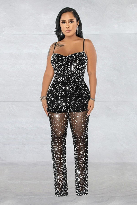 Chic Mesh Sleeveless Jumpsuit with Elegant Embroidery