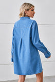 Relaxed Fit Denim Cowl Neck Dress