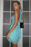 Feminine Allure Lace Halter Dress - Chic See-Through for Modern Elegance