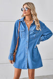 Relaxed Fit Denim Cowl Neck Dress