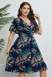 Elegant V-Neck Dress with Tailored Waistline