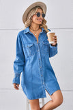 Relaxed Fit Denim Cowl Neck Dress