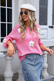 Floral Embroidered Crew-Neck Sweater with Long Sleeves