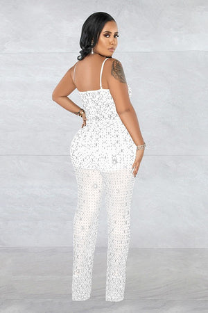 Chic Mesh Sleeveless Jumpsuit with Elegant Embroidery