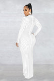 Elegant Mesh Long Sleeve Maxi Dress with Lined Two-Piece Ensemble